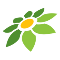 SKIN TOOL ML